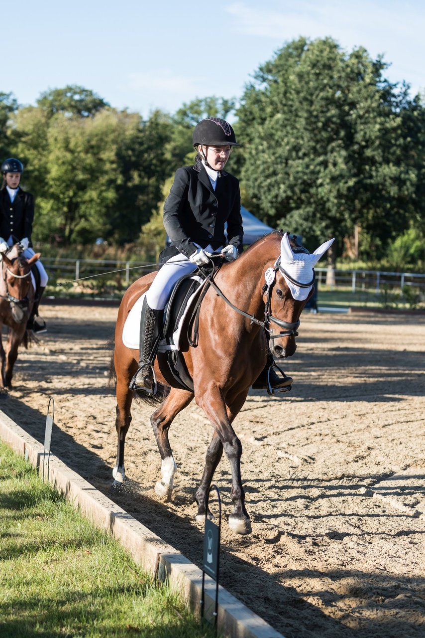 Bild 78 - Pony Akademie Turnier